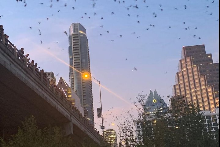 Austin Famous Ghost And Bat Segway Tour - thumb 4