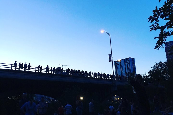 Austin Nights  Lights