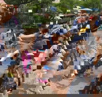 Fun City Scavenger Hunt in Raleigh by Wacky Walks - Accommodation Indiana