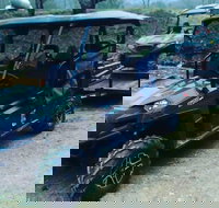 Premier Powersport Dealer Sales Service  UTV Rentals - Accommodation Indiana