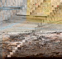 Axe Throwing Training - Accommodation Indiana