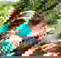 Full Day Float Trip - Accommodation Indiana