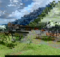 Horse and Carriage Ride through Moses H. Cone Park - Accommodation Indiana