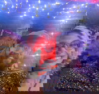 Private Pedicab Karaoke Cruising in Downtown Raleigh - Accommodation Indiana