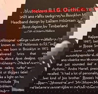 Rock and Roll Hall of Fame Admission in Cleveland - Accommodation Indiana