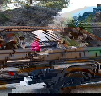 Jeep Bison Safari - Custer State Park - Accommodation Indiana