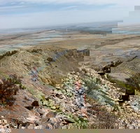 Private - Group Tour Devils Tower - Accommodation Indiana