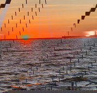 Private Hilton Head Sunset Sailing Tour with Dolphin Watching - Accommodation Indiana