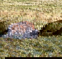 Private Tour - Badlands Delta 9 Missile Museum  Wall Drug - Accommodation Indiana