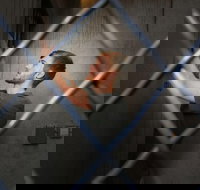 Chattanooga Secret Agent Escape Room Admission Ticket - Accommodation Indiana