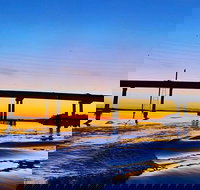 90 Minute Hilton Head Dolphin Tour - Accommodation Indiana