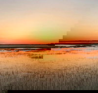 Private Hilton Head Sunset Dolphin Tour - Accommodation Indiana