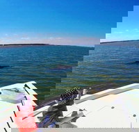 Private Hilton Head Dolphin Watching Tour with Waterfront Dining Stops - Accommodation Indiana