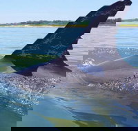 Hilton Head Jet Ski Adventure - Accommodation Indiana