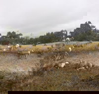 Private Badlands National Park Day Tour - Accommodation Indiana