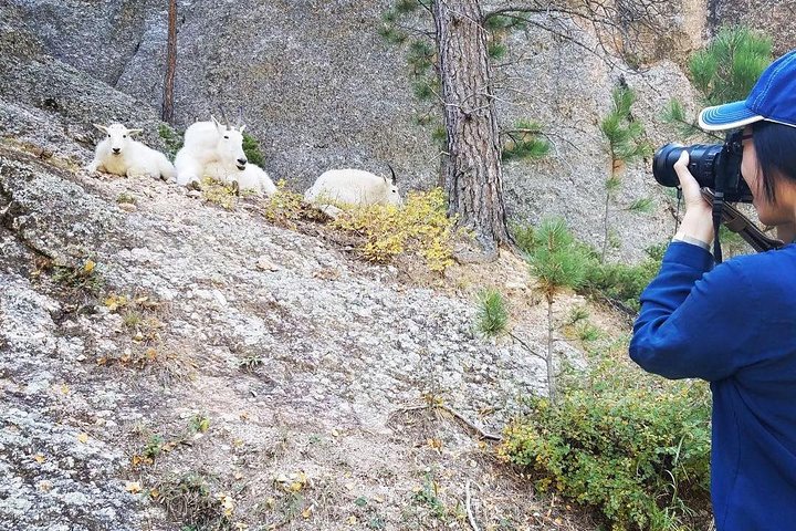 Private Mt Rushmore & Southern Black Hills Tour - thumb 1