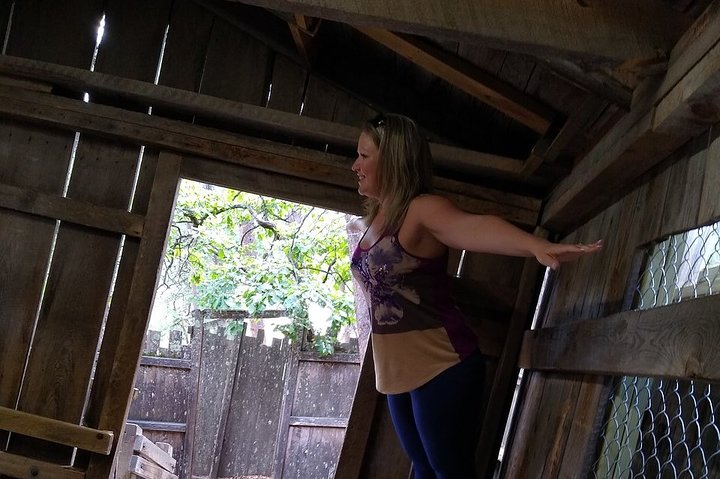 Cosmos Mystery Area Admission - thumb 0