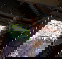 Cosmos Mystery Area Admission - Accommodation Indiana