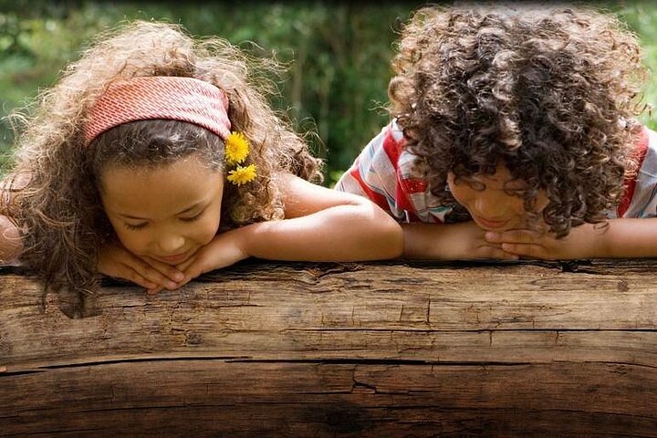 Hilton Head Honey Horn Admission With Guided Tour - thumb 1