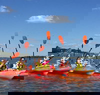 2-Hour Guided Kayak Nature Tour of Hilton Head - Accommodation Indiana