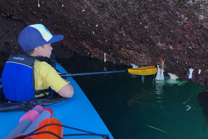 Kayaking In Deception Pass State Park - thumb 0