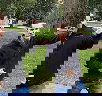 Fun City Scavenger Hunt in Madison by Wacky Walks - Accommodation Indiana