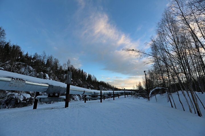 Northern Lights And Arctic Circle Trip From Fairbanks - thumb 2