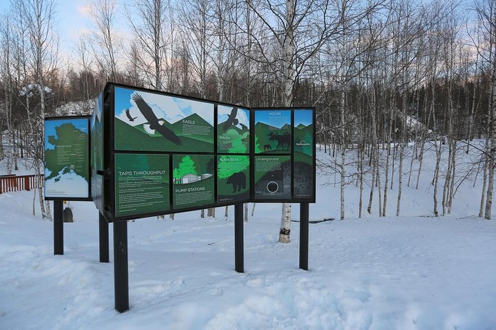 Northern Lights And Arctic Circle Trip From Fairbanks - thumb 4