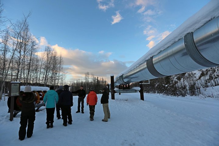 Northern Lights And Arctic Circle Trip From Fairbanks - thumb 5