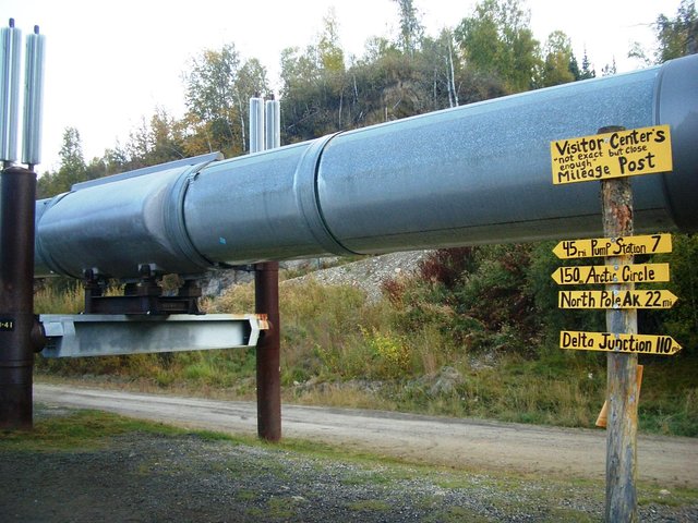 Arctic Circle Full-Day Adventure From Fairbanks - thumb 0