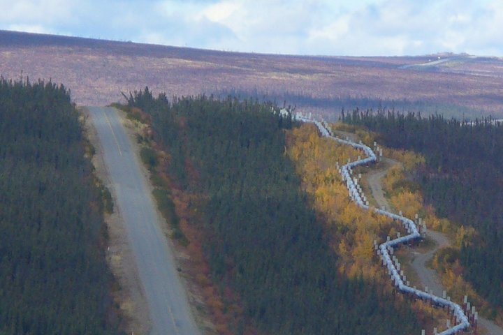 Arctic Circle Full-Day Adventure From Fairbanks - thumb 3