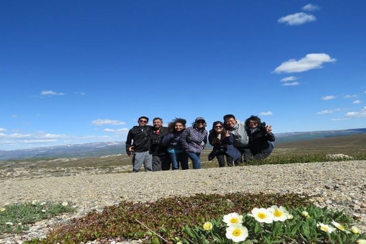 Arctic Circle Full-Day Adventure From Fairbanks - thumb 4