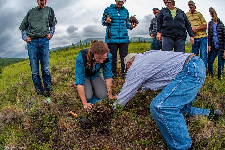 Midnight Sun Arctic Circle Drive Adventure - thumb 4