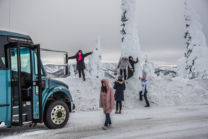 Arctic Circle Aurora Fly Drive Adventure - Southbound - thumb 1