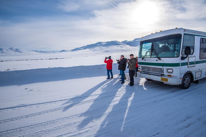 3-Day Arctic Circle Of Alaska Northern Lights Tour From Fairbanks - thumb 4