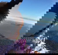 Platinum Package - Helicopter Tour with Dinner at Ruth's Chris or Capital Grille - Accommodation Indiana