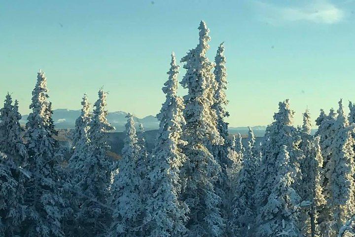 Arctic Circle Day Trip From Fairbanks With Transportation - thumb 1