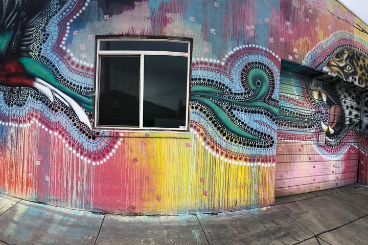 Private Tour of Denver Red Rocks Park and the foothills close to Denver.