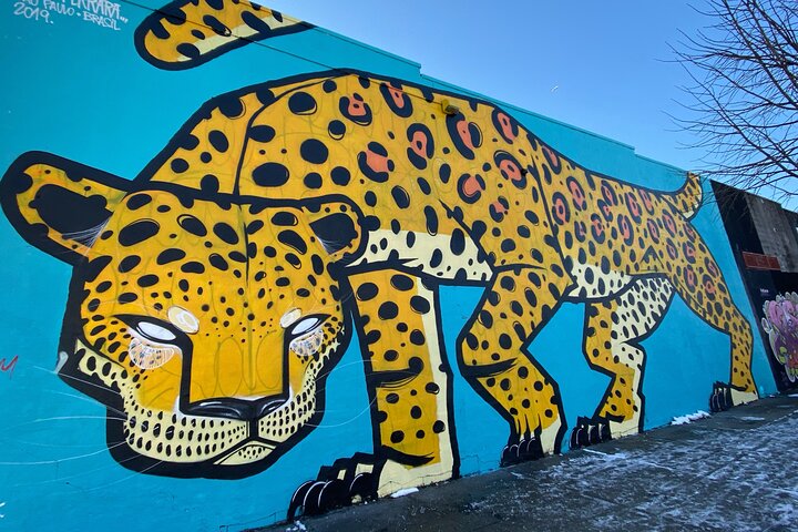 Bushwick Street Art and Williamsburg Walking Tour