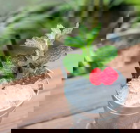 Small-Group Cocktail Tour in Denver - Accommodation Indiana