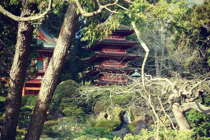 San Francisco Guided City Tour - thumb 0