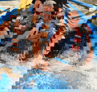 Classic Salt River Raft Trip - Accommodation Indiana