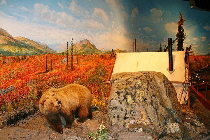 Fairbanks Autumn/Winter City Tour - thumb 5