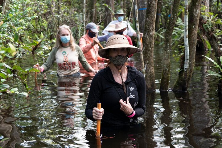 Private Guided Swamp Walk Eco Tour In Ochopee - thumb 2