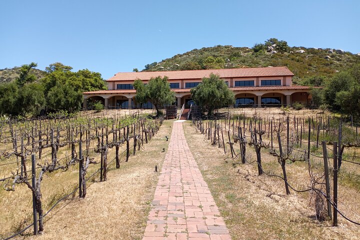 Oceanside Auto Museum  Winery Tour  Tasting