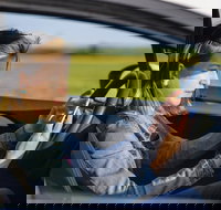 Historical Baltimore Self-Driving Sightseeing Audio Tour - Accommodation Indiana