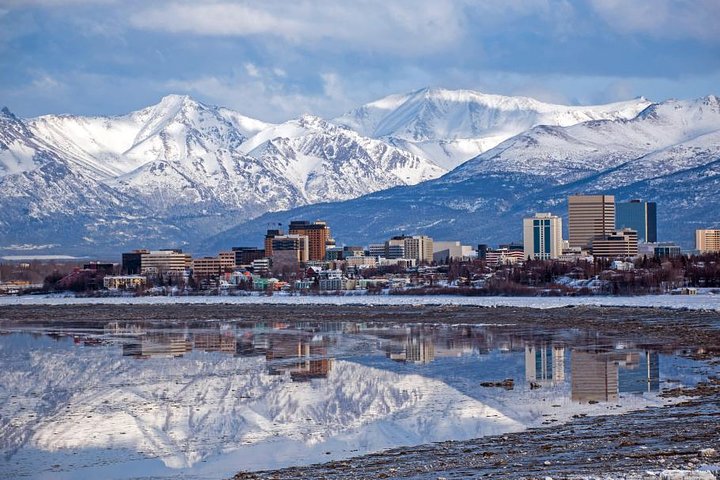 Anchorage Scavenger Hunt: Mushing Through Anchorage - thumb 0