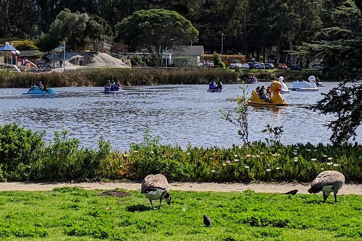 Monterey Bay Audio Driving Tour From Del Monte Beach to Cannery Row