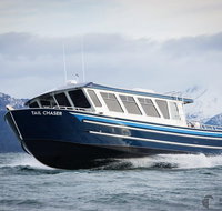 Hoonah Whale-Watching Cruise - Accommodation Indiana