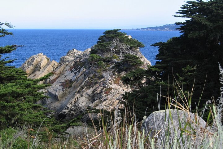 Guided 2-Hour Point Lobos Nature Walk